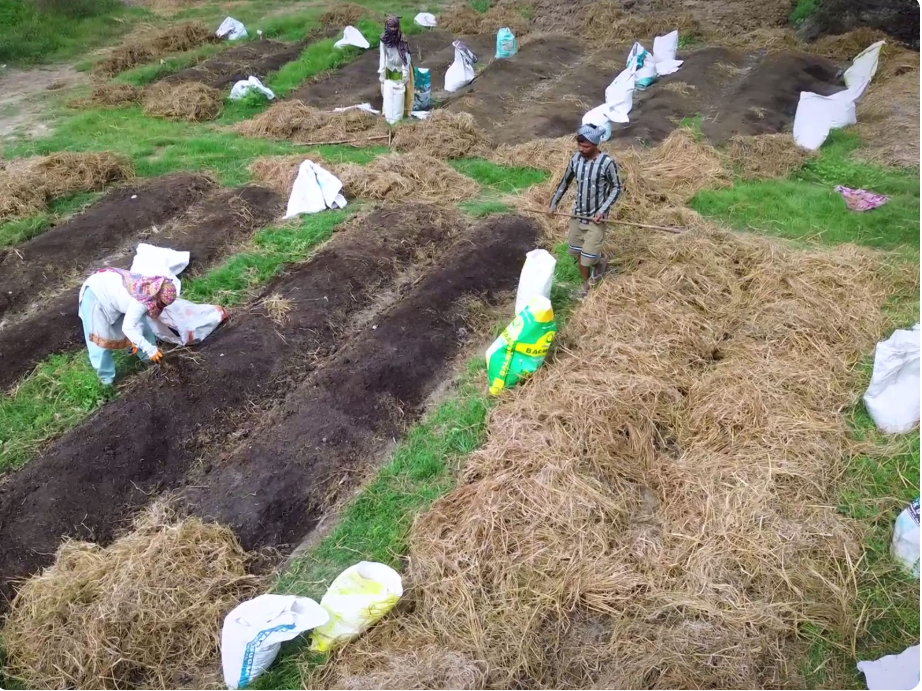 How Smart Technology is Transforming India’s Agricultural Landscape